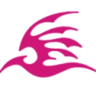 飞极速动漫2.2.0安卓版