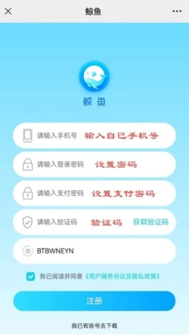 鲸鱼plus手机版图1