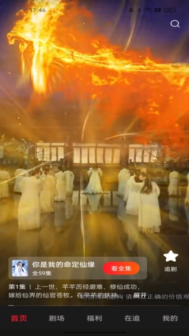 汤圆短剧安卓版图4