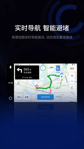 驾驶伴侣安卓版图4