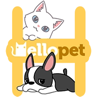 hellopet3.7.1最新版