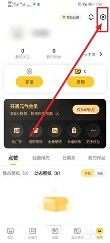 元气桌面壁纸永久vip 3.53.4336 安卓版