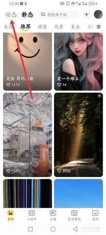 元气桌面壁纸永久vip 3.53.4336 安卓版