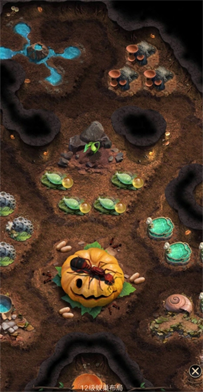 小小蚁国国际服图4