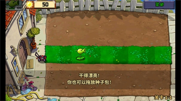 植物娘大战僵尸庄不纯