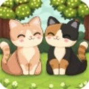 科媞奇联机版 v1.14