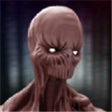 不要尖叫联机版