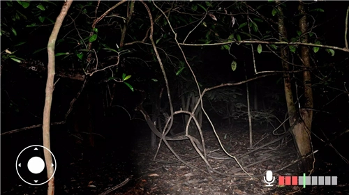 不要尖叫联机版图3