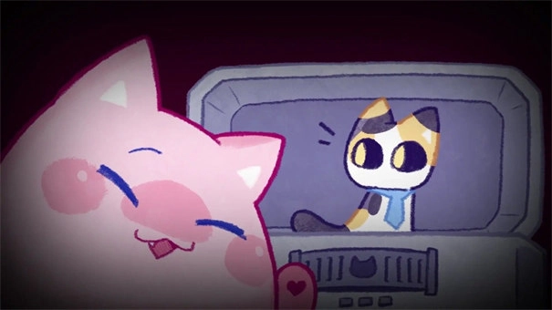 对人类过敏的猫1