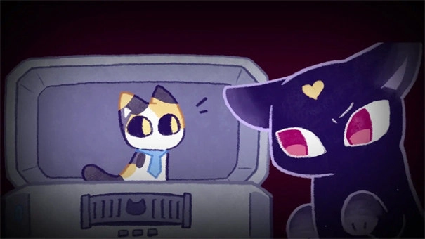 对人类过敏的猫5