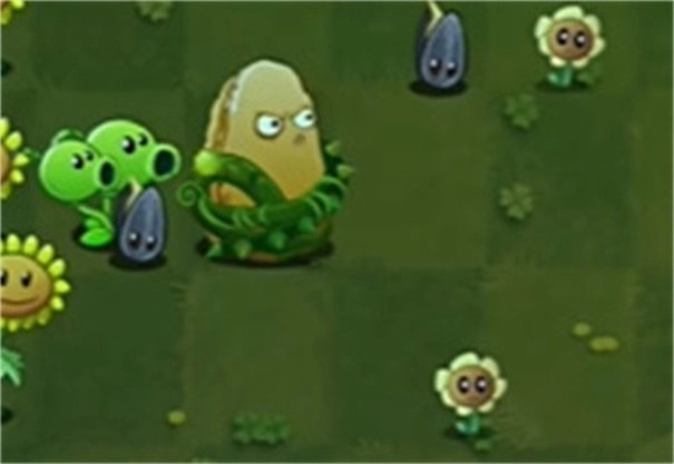 植物大战僵尸转基因版