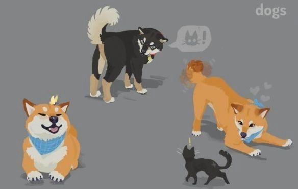 小猫咪大城市正版