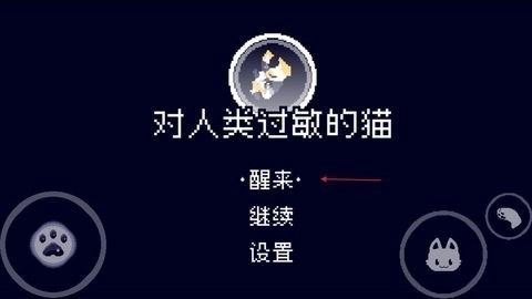 对人类过敏的猫