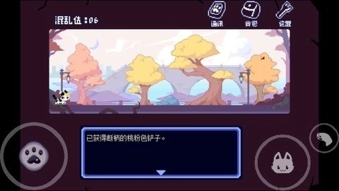 对人类过敏的猫