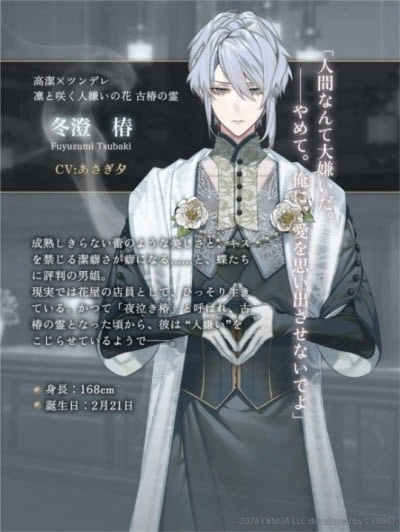 夢(mèng)幻樓與不眠之蝶