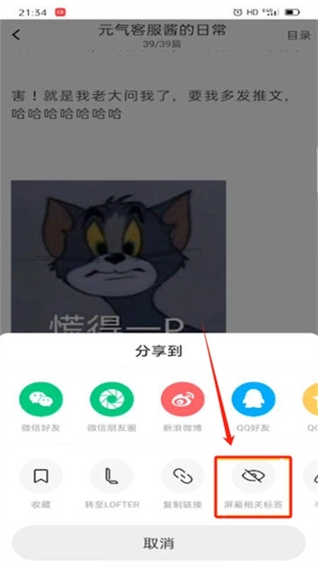 老福特lofter小說最新版2024