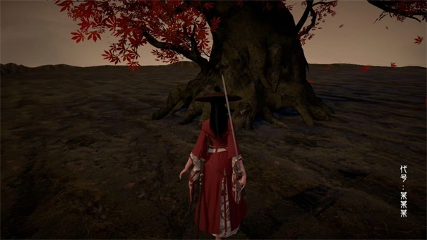 代号某某某单机版