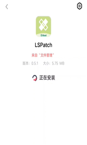 lspatch模块图1
