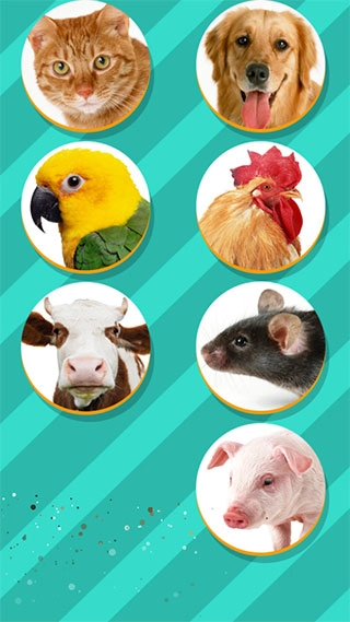 pettranslator动物语言翻译器(4)