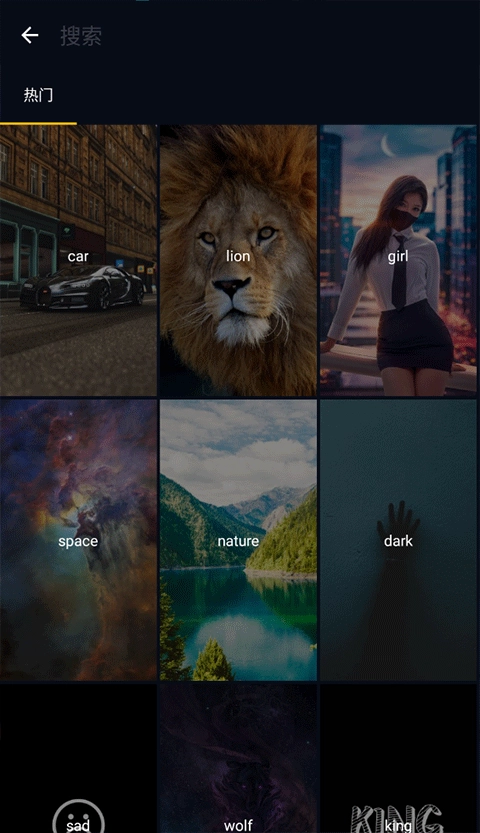 Wallcraft手机壁纸汉化版(3)