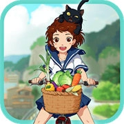 新小森生活正版