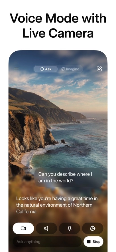Grok免费AI女友图2
