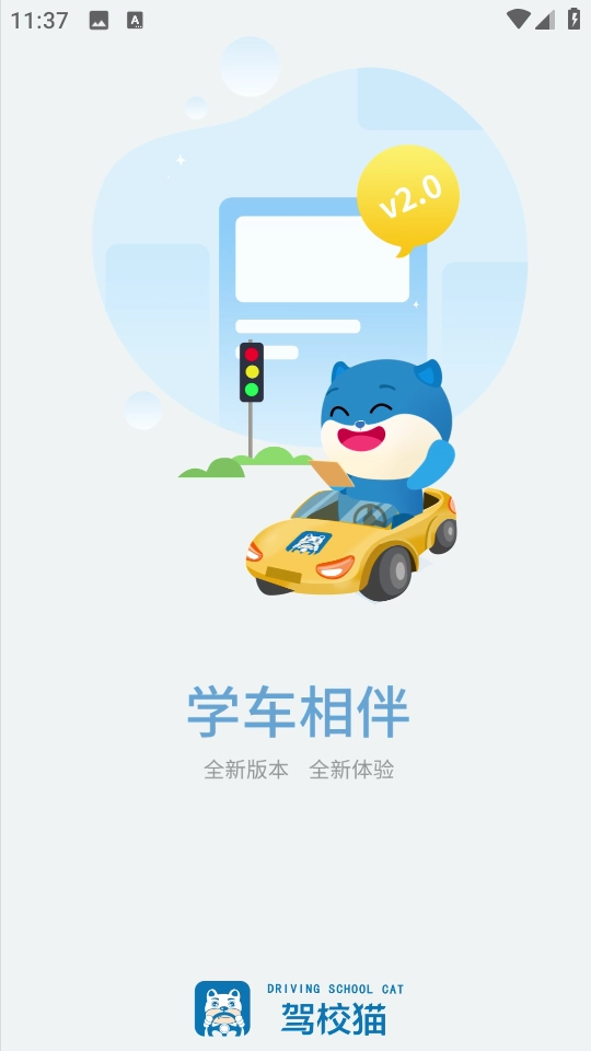 驾校猫图2