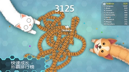Snakeio最新版图2