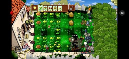 植物大战僵尸升天版(3)