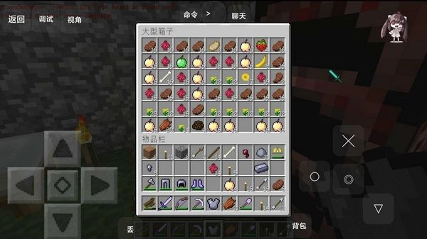 我的世界贝爷生存振金隔壁老王版图3