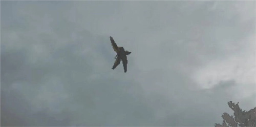 致命公司去广告版