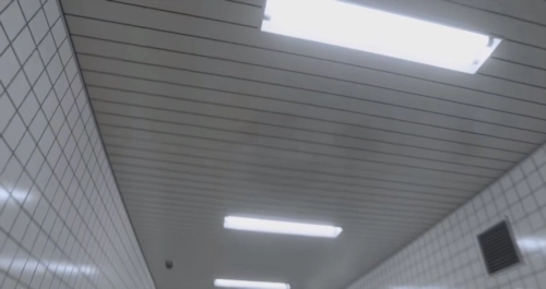 8号出口手机版图片2