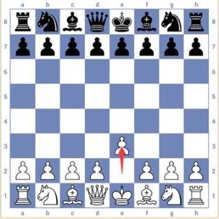 国际象棋3D最新版5