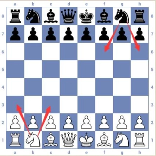 国际象棋3D最新版14