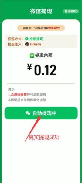 黄金多多红包版游戏5