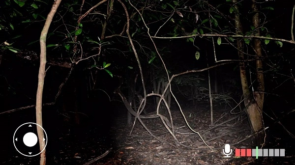 不要尖叫手机版