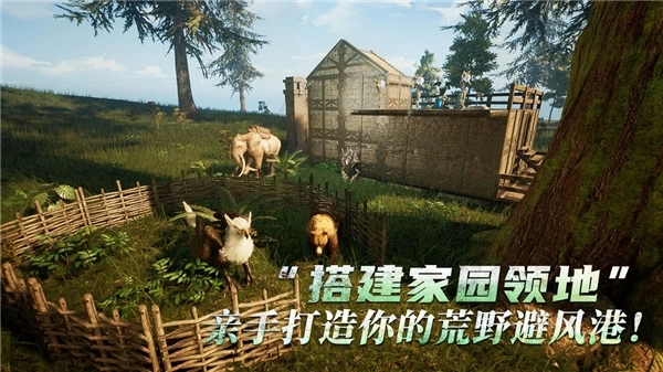 黑光生存进化游戏截图3