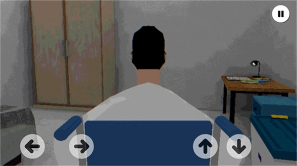 皮卡布宁静的夜晚图2