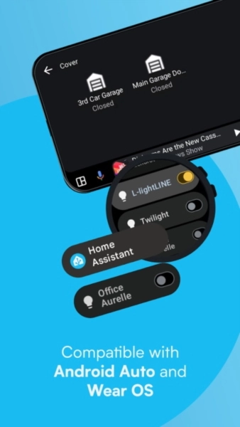 HomeAssistant安卓版图5