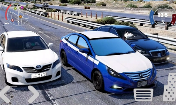 哈瓦拉2狂野漂移(3)