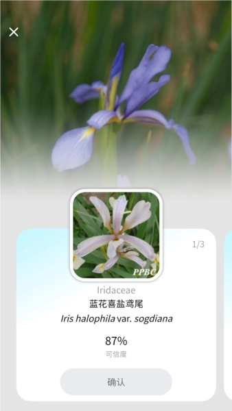 植物智正版图3
