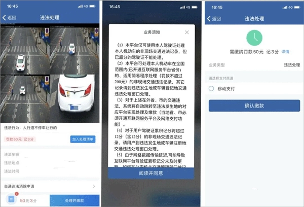 怎么查违章 怎么缴费配图3