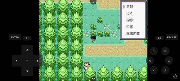 口袋妖怪燃之智4