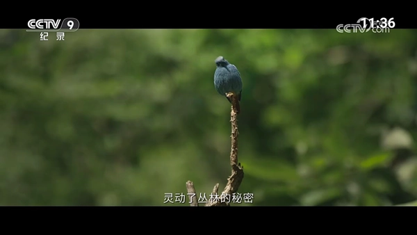 超的电视TV免费版截图1