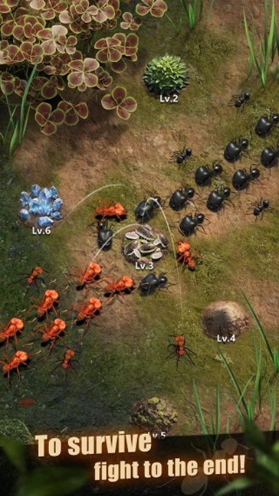 蚂蚁地下王国模拟器(TheAnts)(4)