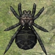 蜘蛛模拟器游戏