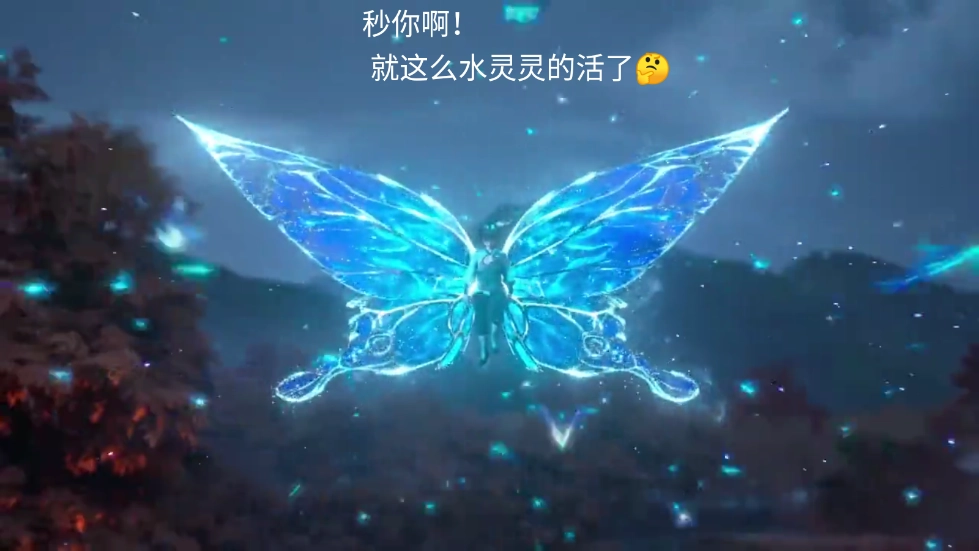 豚豚剧免费截图2