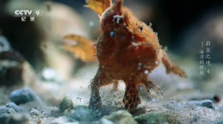 无上影院盒子截图2