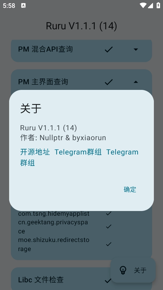 ruru环境检测最新版(1)