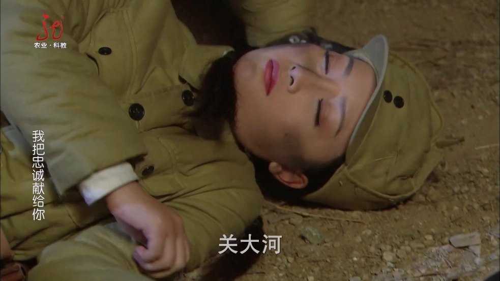 东岳4K影视电视软件(3)